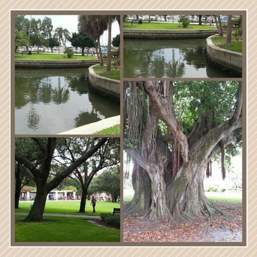 Walk To Everything Downtown Eat - Shop - Play St. Petersburg Ngoại thất bức ảnh
